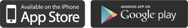 Google play App store.png